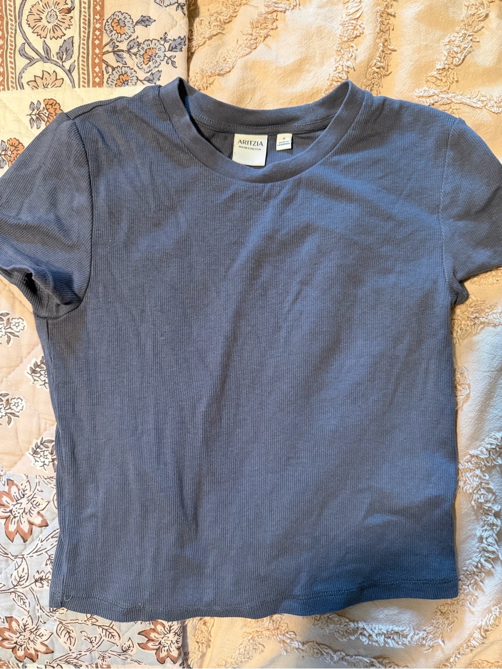 Aritzia Homestretch Tshirt